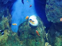 -福州罗源湾海洋世界旅游区