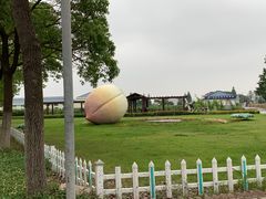 -南汇老顾农家乐采摘大团水蜜桃采摘店