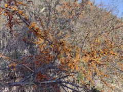 -鄂尔多斯野生动物园