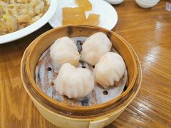 晶莹鲜虾饺-富豪酒家(正大广场店)