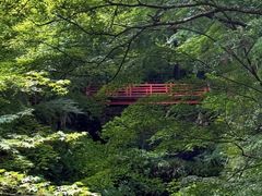 -三千院
