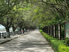 -大湾区中央湿地公园