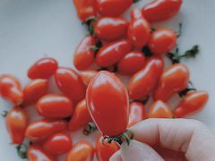 -江杨农产品批发市场