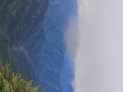 -牛背梁国家森林公园