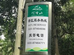 -广州市帽峰山景区