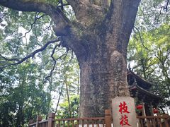 -安溪清水岩
