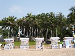 -欢乐海岸椰林沙滩-2025湾区超级灯会