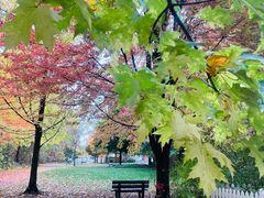 -长白岛森林公园