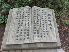 -茅兰沟国家森林公园
