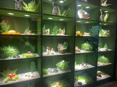 -慢丽江·云南野生菌土鸡锅(西山店)