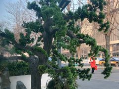 -食悦江南·淮扬菜·烤鸭(亚运村·惠新店)