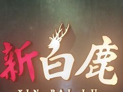 -新白鹿餐厅(金鹰新街口店)