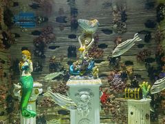 -上海海昌海洋公园