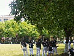 -华东政法大学(松江校区)