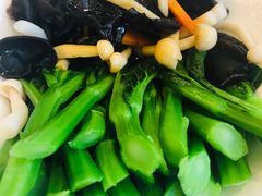 -皇朝尊会(龙之梦大酒店)