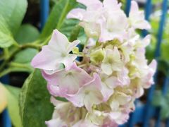 -魔方公寓(宁国路店)