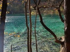 -九寨沟-树正沟