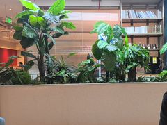 -悦海·家宴·冰花皮皮虾大锅贴(宝龙店)
