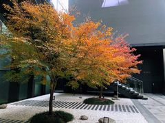 -苏州现代传媒广场商业