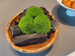 -子福慧(虹桥店)