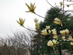 -白塘生态植物园