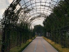 -上海山野camping·户外天幕烧烤·团建拓展营地