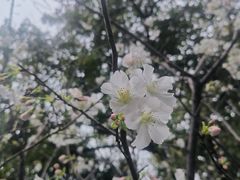 -乌山风景区