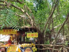 -海南槟榔谷黎苗文化旅游区