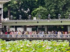 -荔湾湖公园