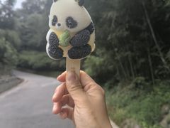 -中国大熊猫保护研究中心雅安碧峰峡基地