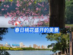 -南宁南湖公园