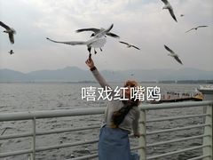 -滇池海埂公园