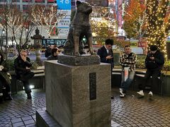 -涩谷区