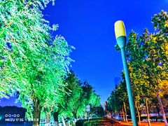 -天鹅湖体育公园