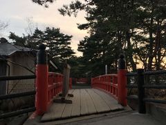 -松岛