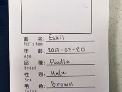 -申普宠物医院·心脏介入·心血管微创(总院)