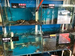 -台州卡金海鲜楼(上南路店)