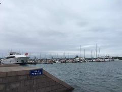 -日照海滨国家森林公园
