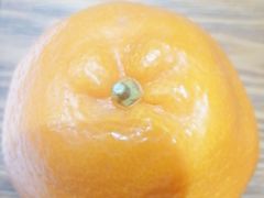 -学习谷日语培训日本留学·多语种外语教学(海淀人大分部)