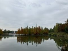 -白鹭湾湿地公园