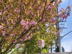 -大木小区斜土路1341弄