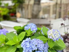 -一叶觅山(半边街店)