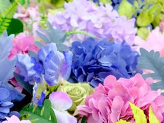 -上海共青森林公园