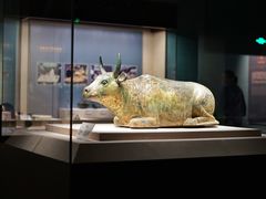 -宁夏博物馆