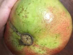 -大鸭梨烤鸭(枣园店)