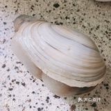 龙虾那么大一只100多也很便宜