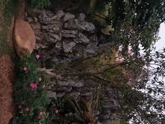 -人民公园(罗湖区)