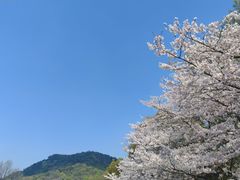 -杭州少年儿童公园