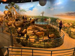 -陕西自然博物馆