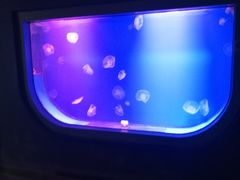 -福州罗源湾海洋世界旅游区